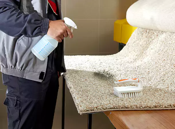 Carpet Cleaning Services in Preston