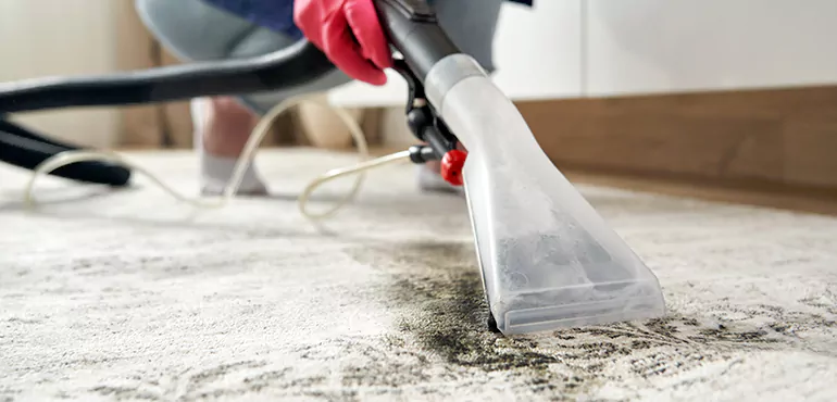 Why Preston Home Owners Choose Us for Expert Rug Cleaning Services